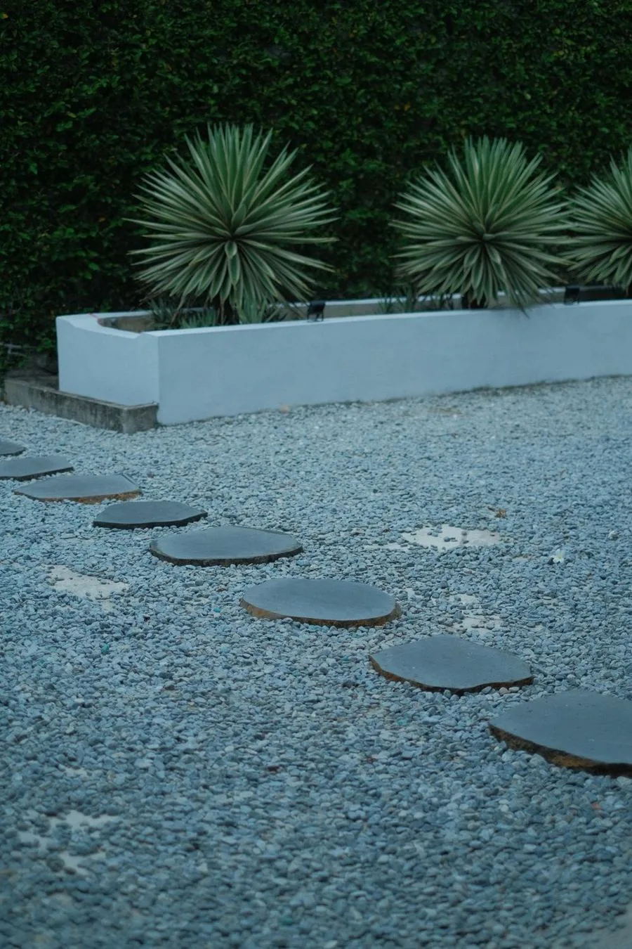 Why Xeriscaping Is a Smart Choice for Albuquerque Yards