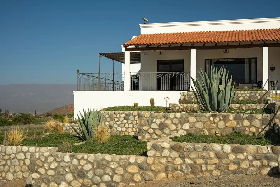 Desert Terraced Yard — Landscaping & Xeriscaping by A Quality Handyman in Albuquerque, NM
