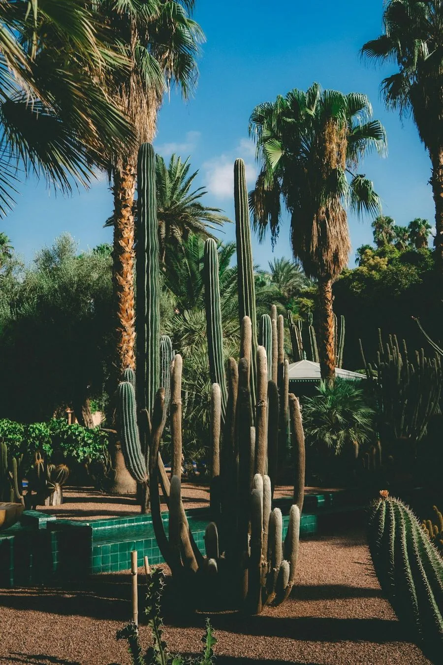 Native Desert Garden — Landscaping & Xeriscaping in Albuquerque, NM