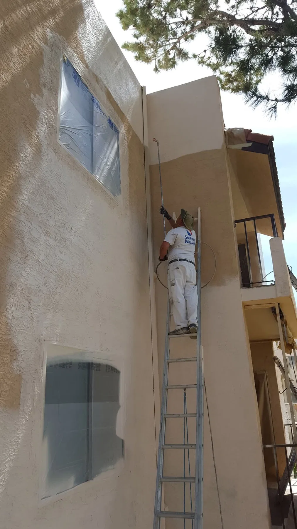Office interior repaint and repair