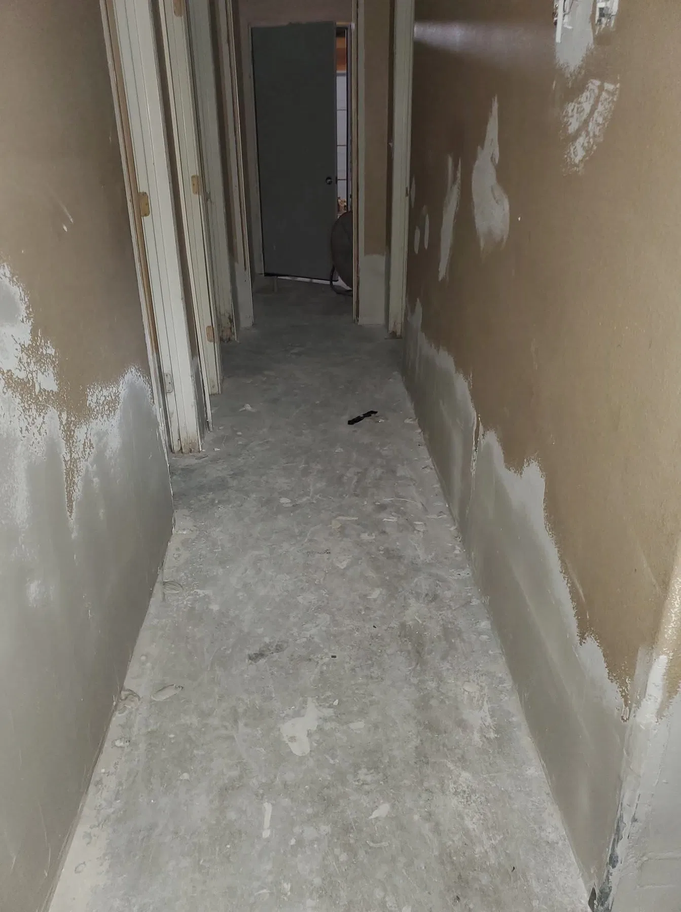 Accent wall and interior painting